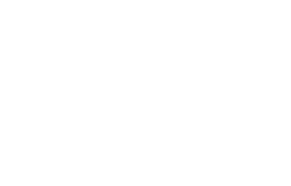 iO Partners